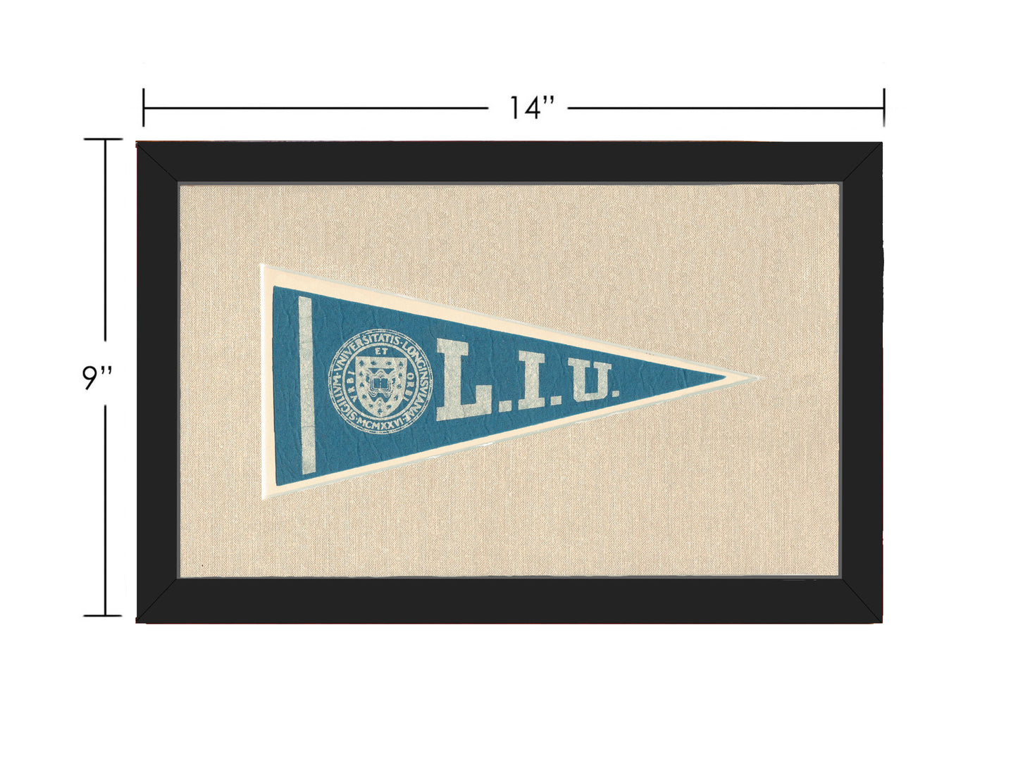 Vintage Long Island University Pennant