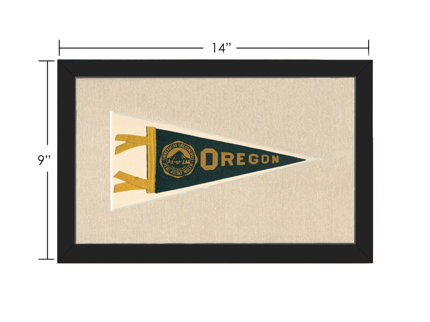 Vintage University of Oregon Pennant