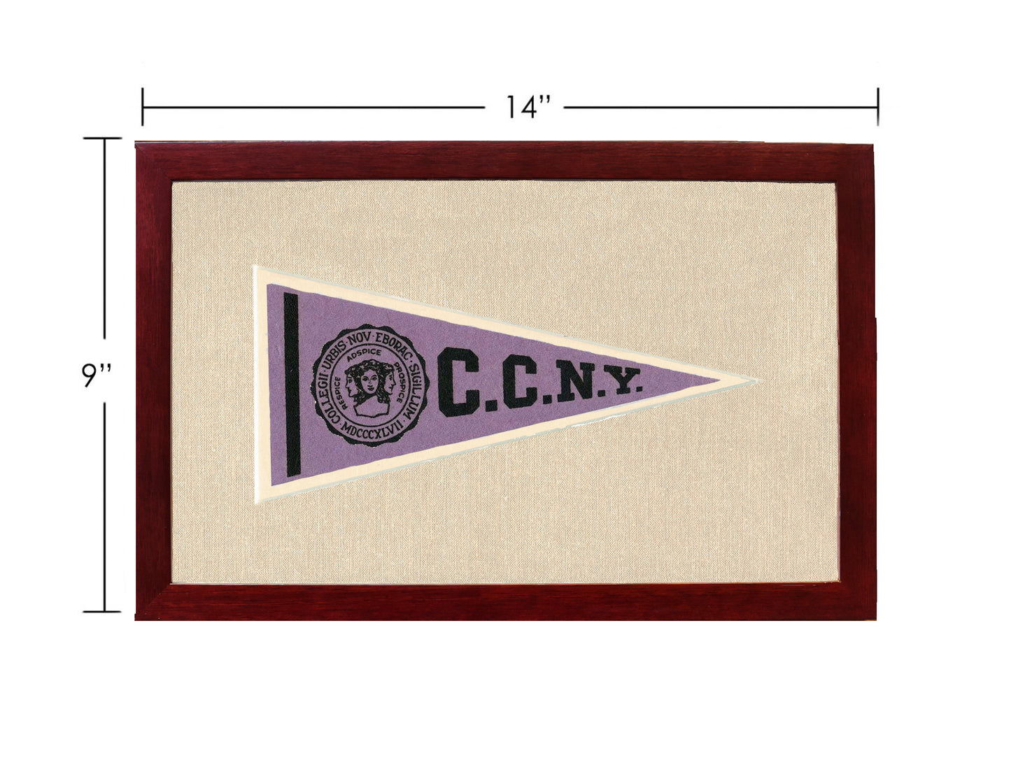 Vintage City College of New York Pennant