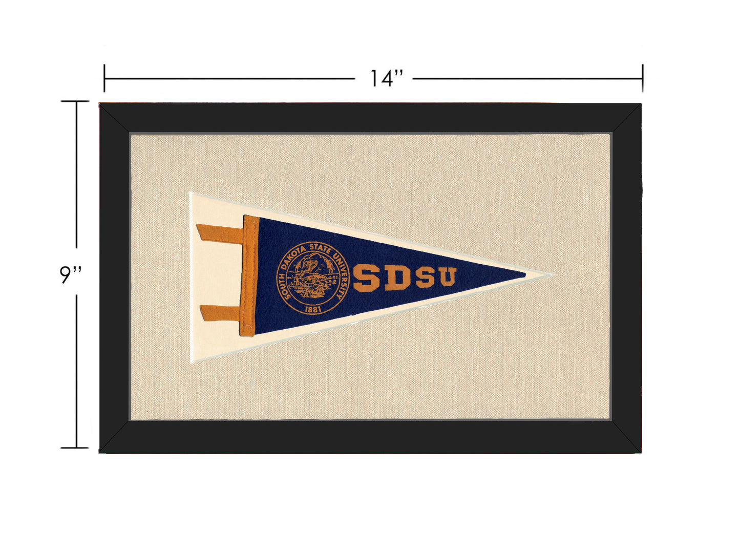 Vintage South Dakota State University Pennant