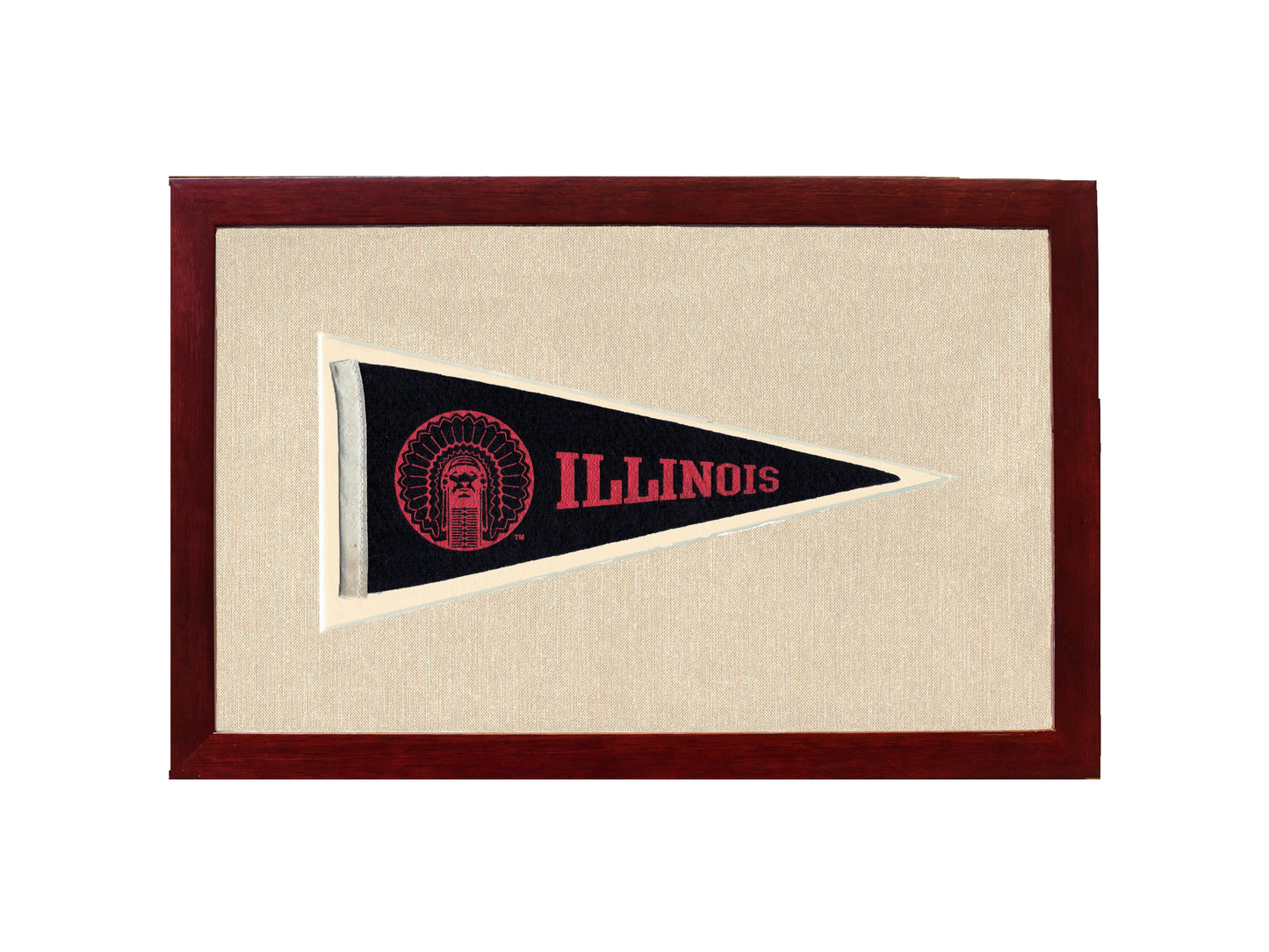 Vintage Illinois Pennant