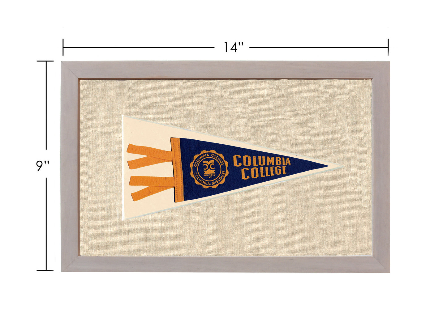 Vintage Columbia College Pennant
