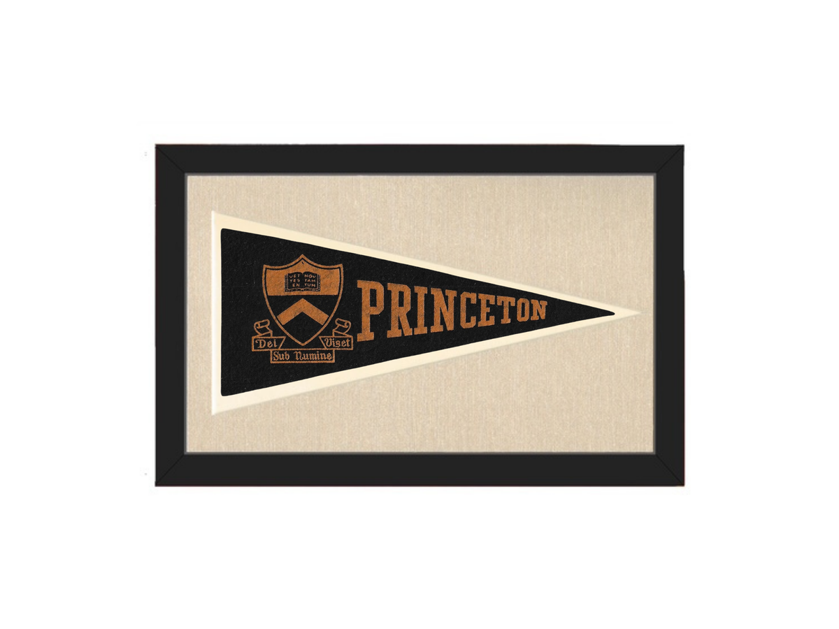 Vintage Princeton University Pennant