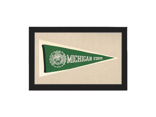 Vintage Michigan State Pennant