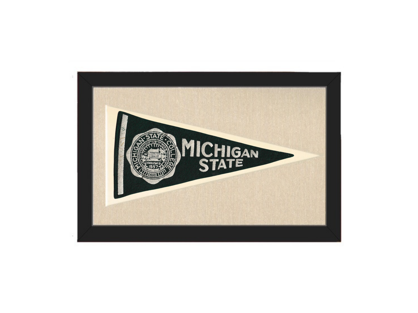 Vintage Michigan State Pennant