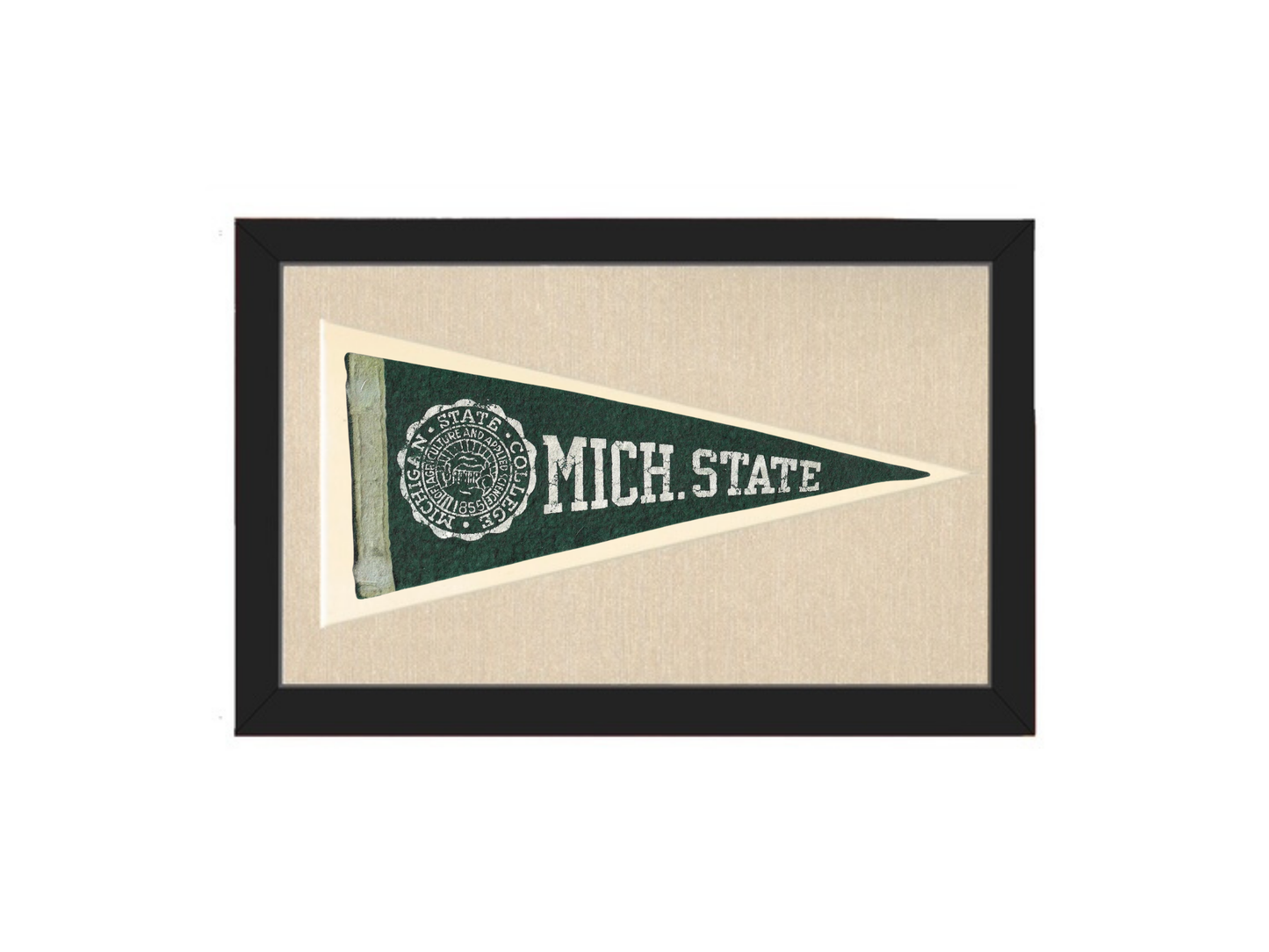 Vintage Michigan State Pennant