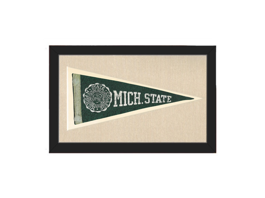 Vintage Michigan State Pennant