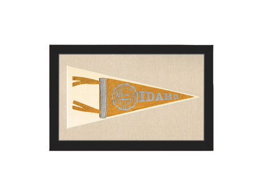 Vintage University of Idaho Pennant