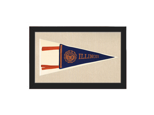 Vintage Illinois Pennant