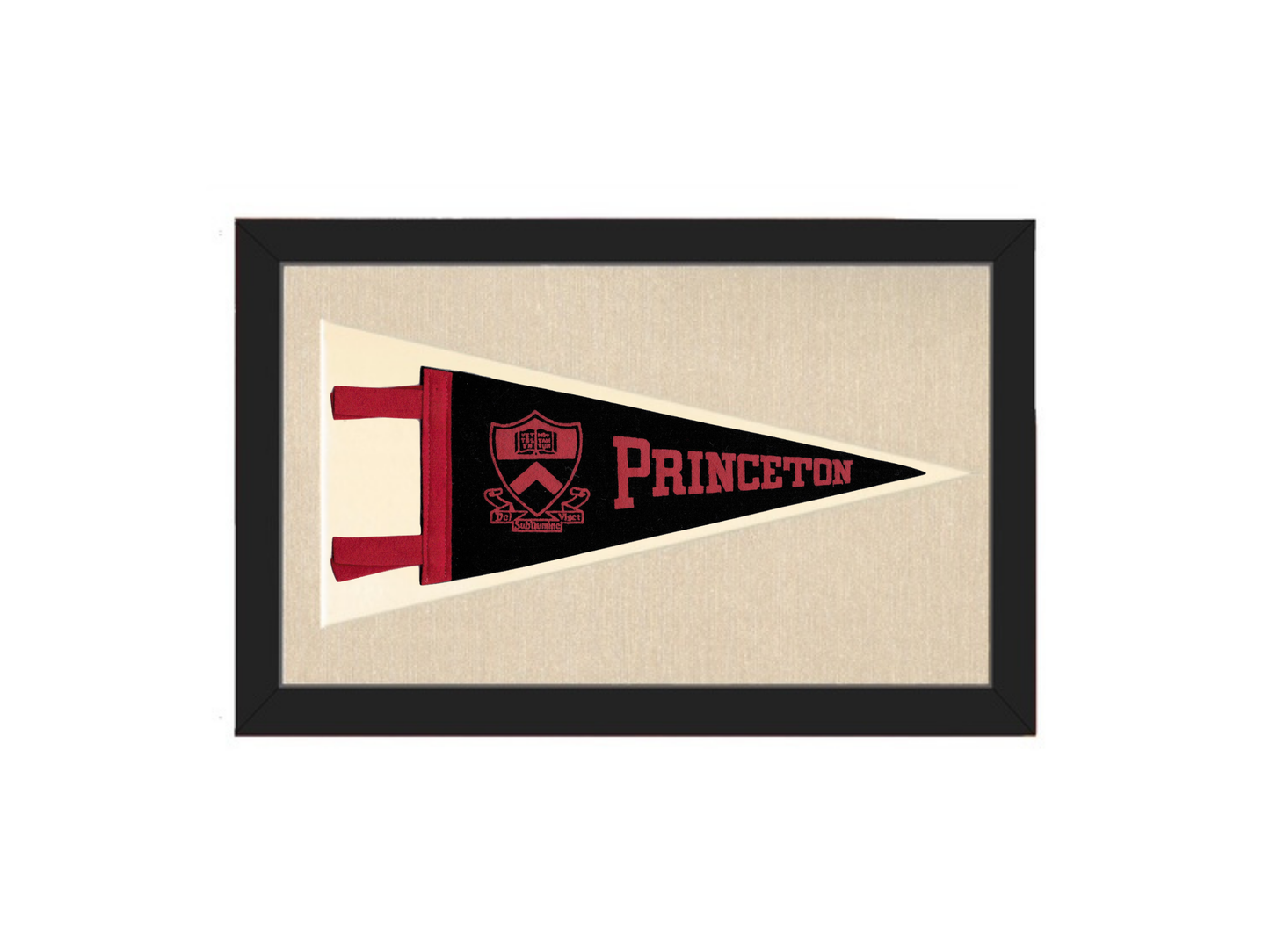 Vintage Princeton University Pennant