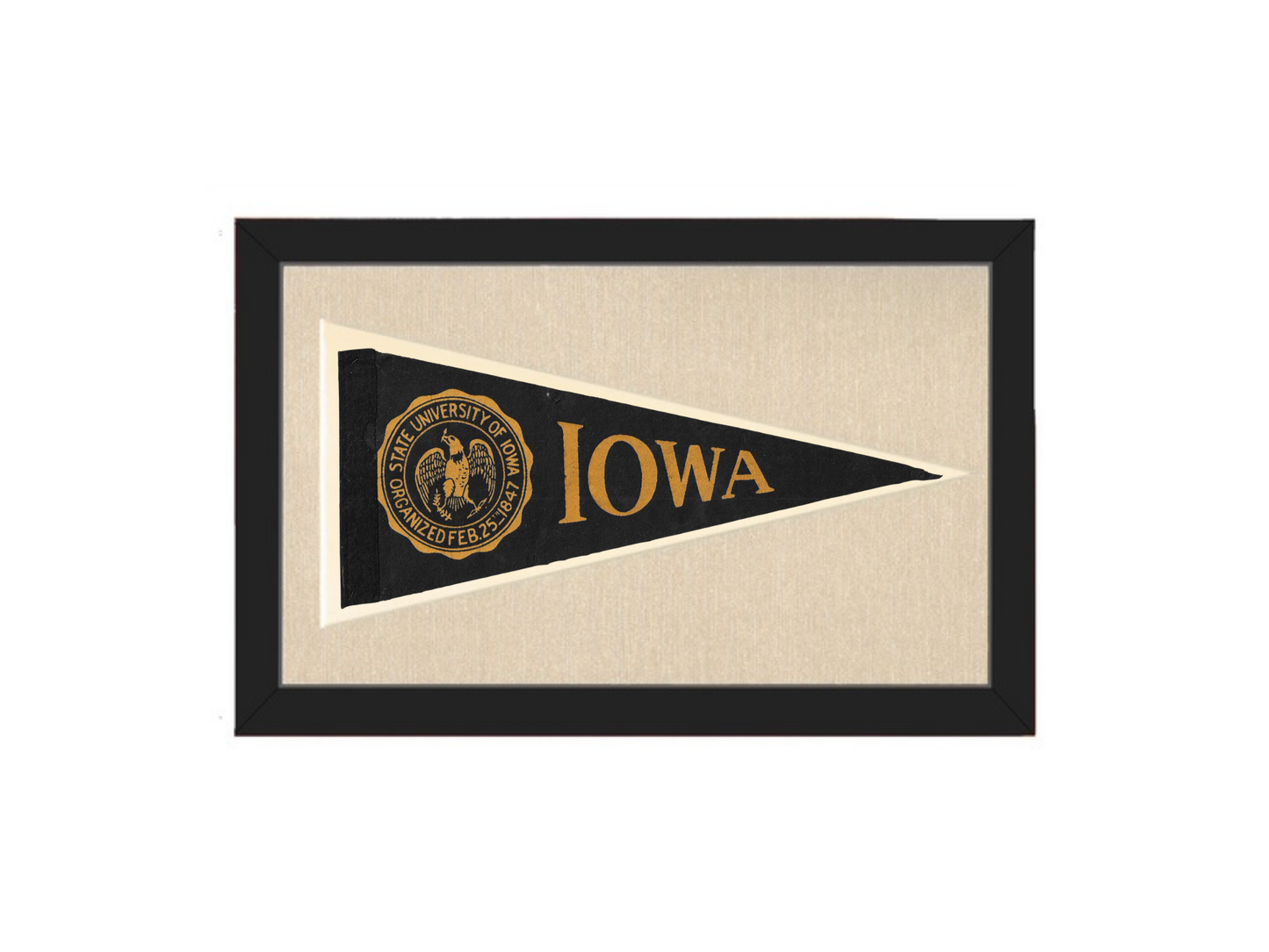 Vintage Iowa Pennant