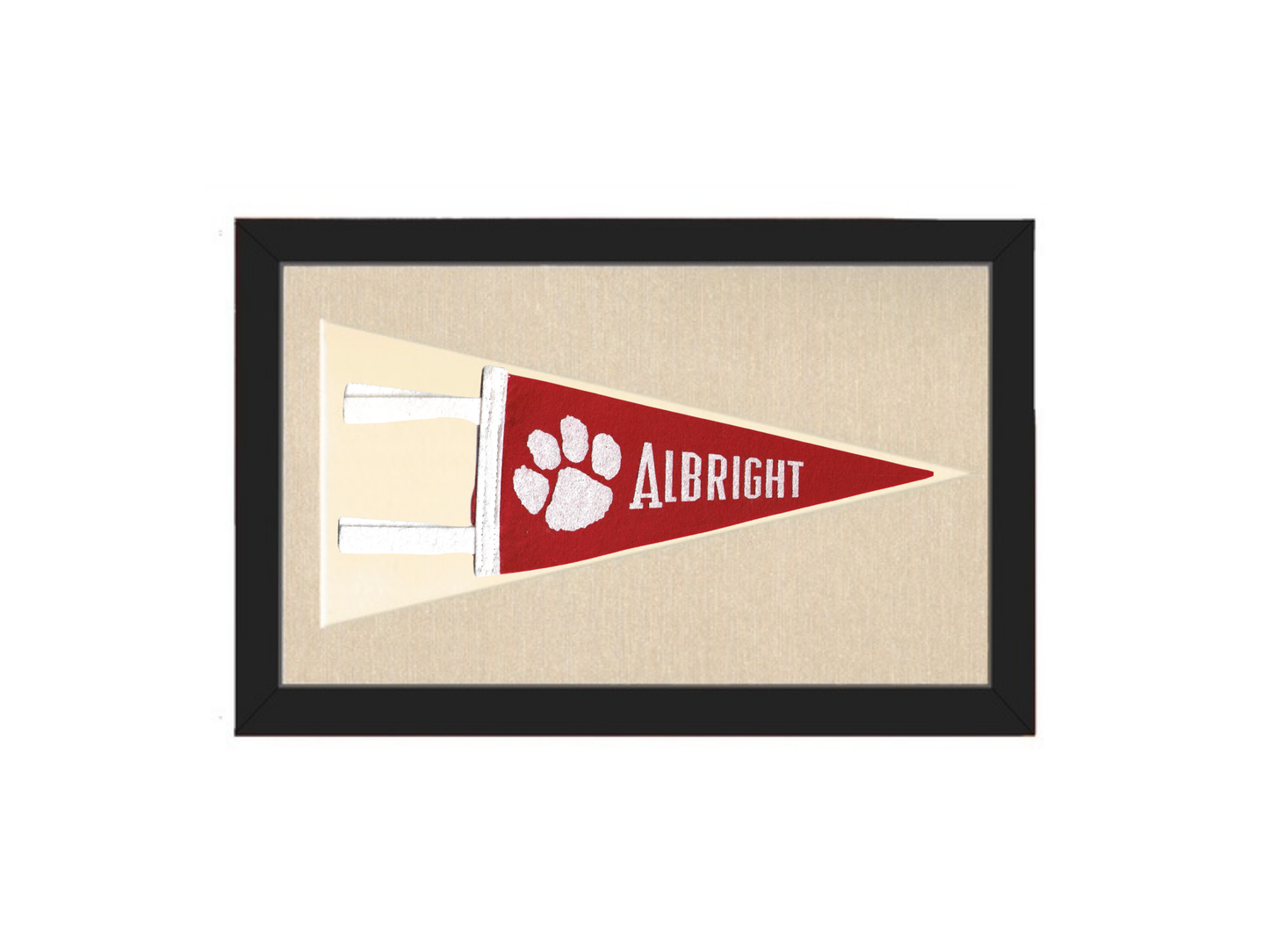 Vintage Albright University Pennant