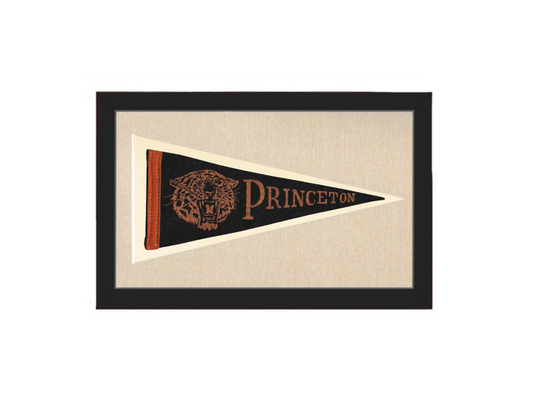Vintage Princeton University Pennant