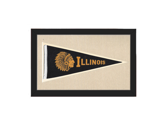 Vintage Illinois Pennant