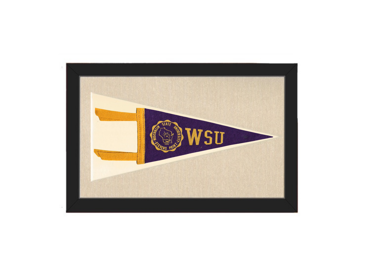Vintage Wisconsin State University Pennant