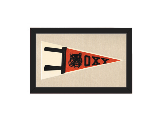Vintage Occidental College Pennant