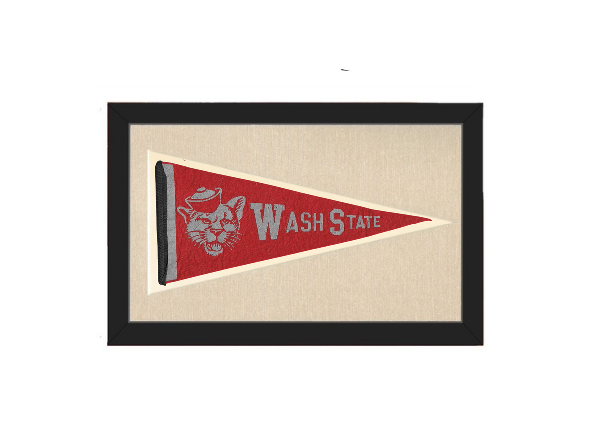 Vintage Washington State Pennant