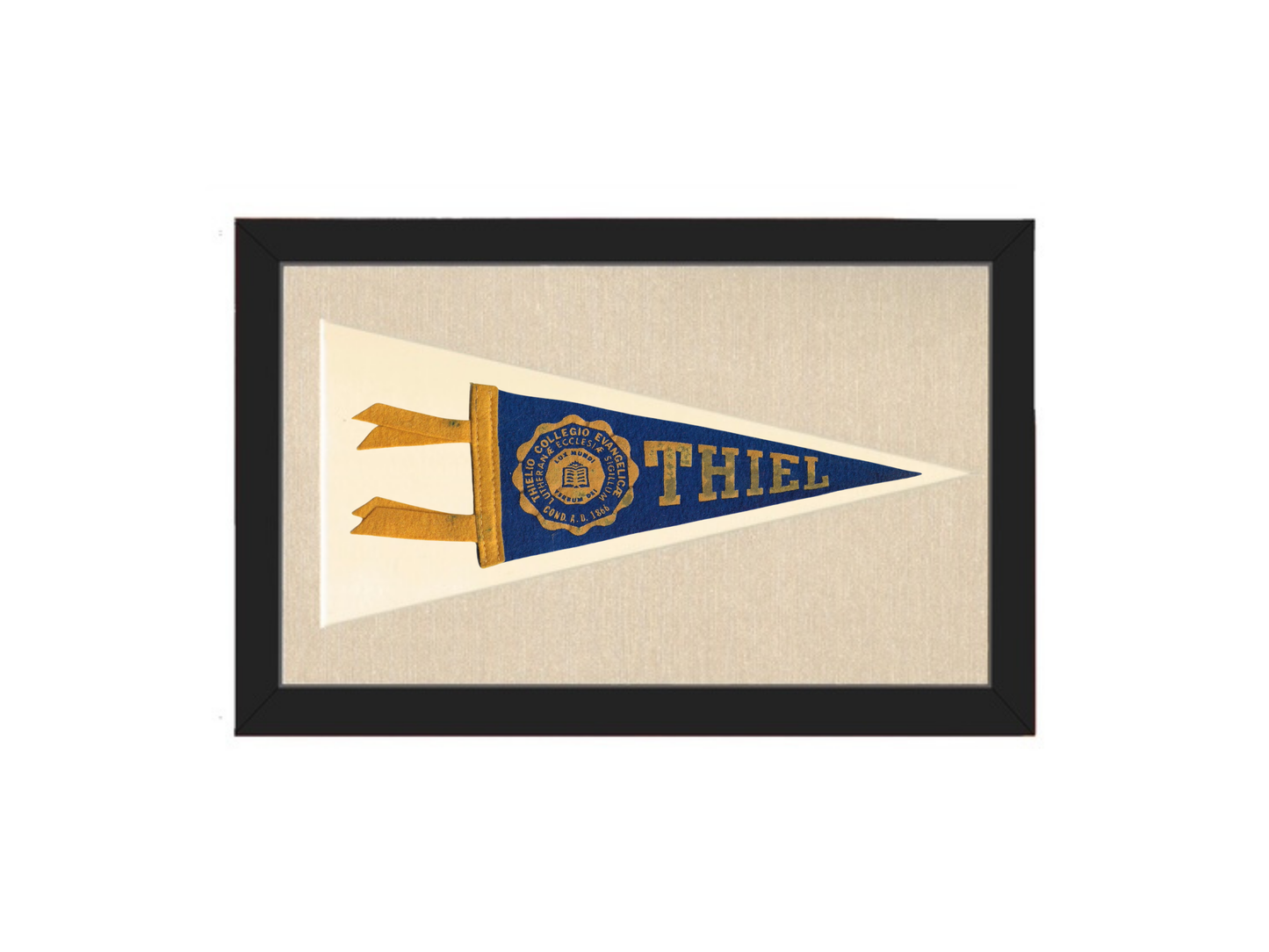 Vintage Thiel College Pennant