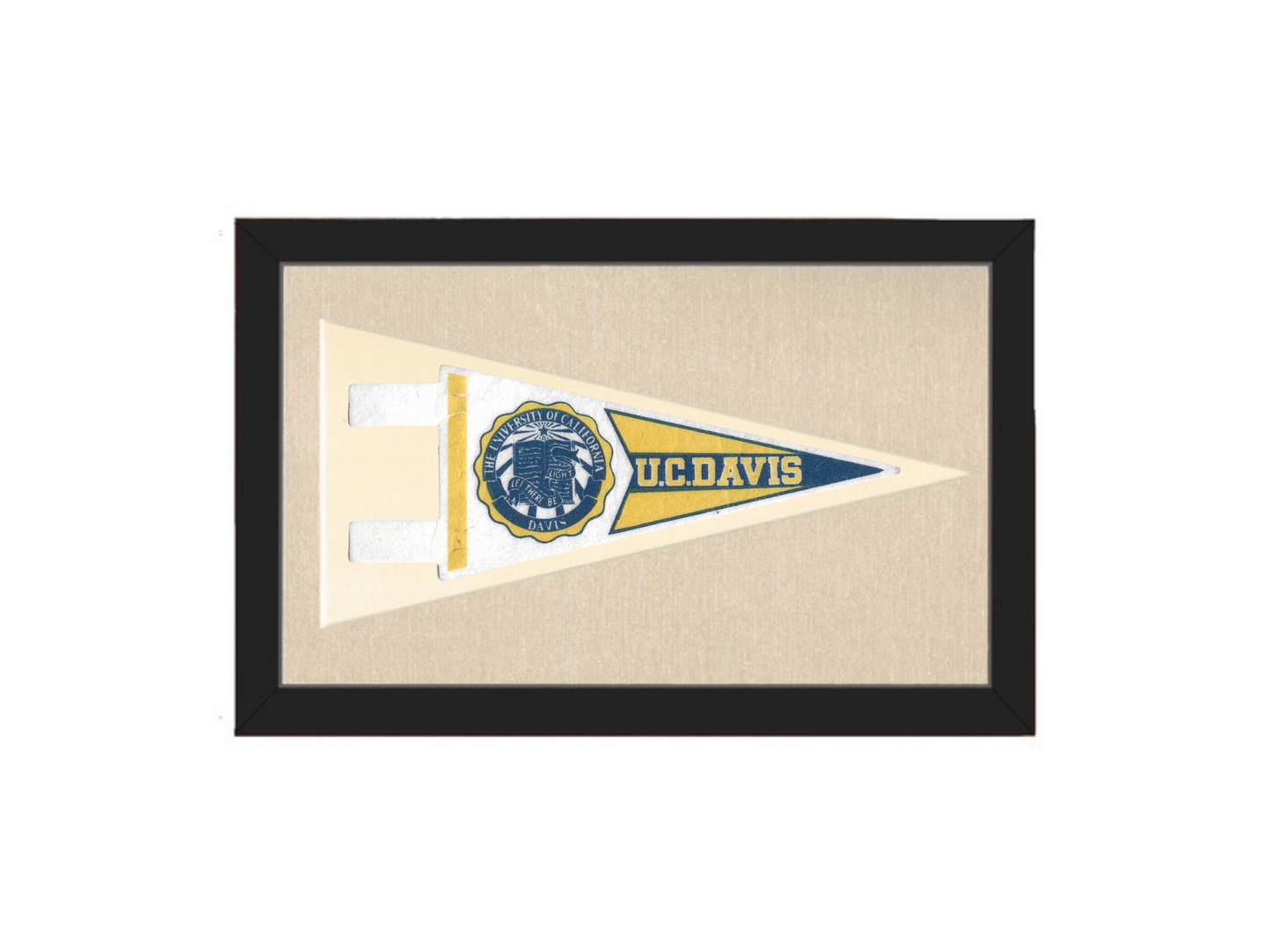 Vintage UC Davis Pennant
