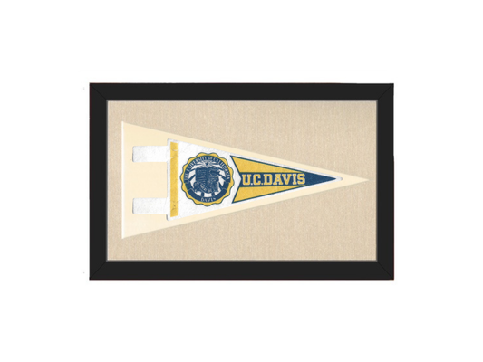 Vintage UC Davis Pennant
