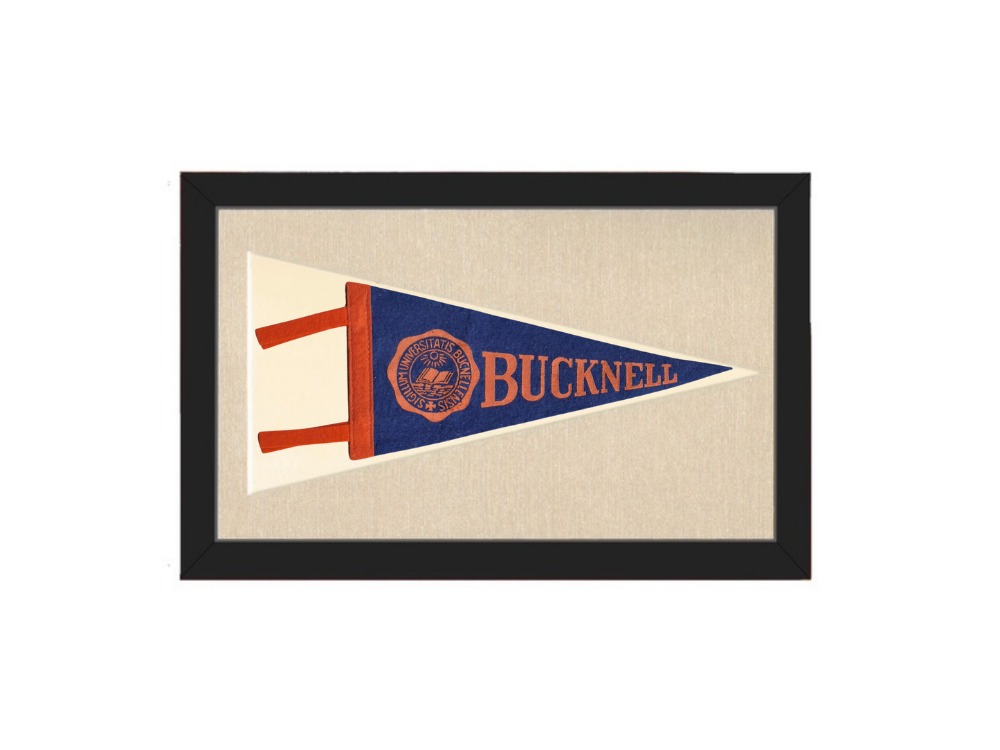 Vintage Bucknell University Pennant
