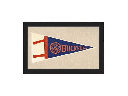 Vintage Bucknell University Pennant