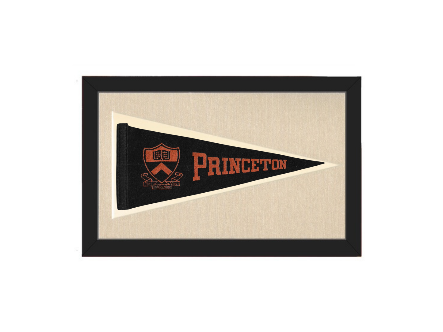 Vintage Princeton University Pennant