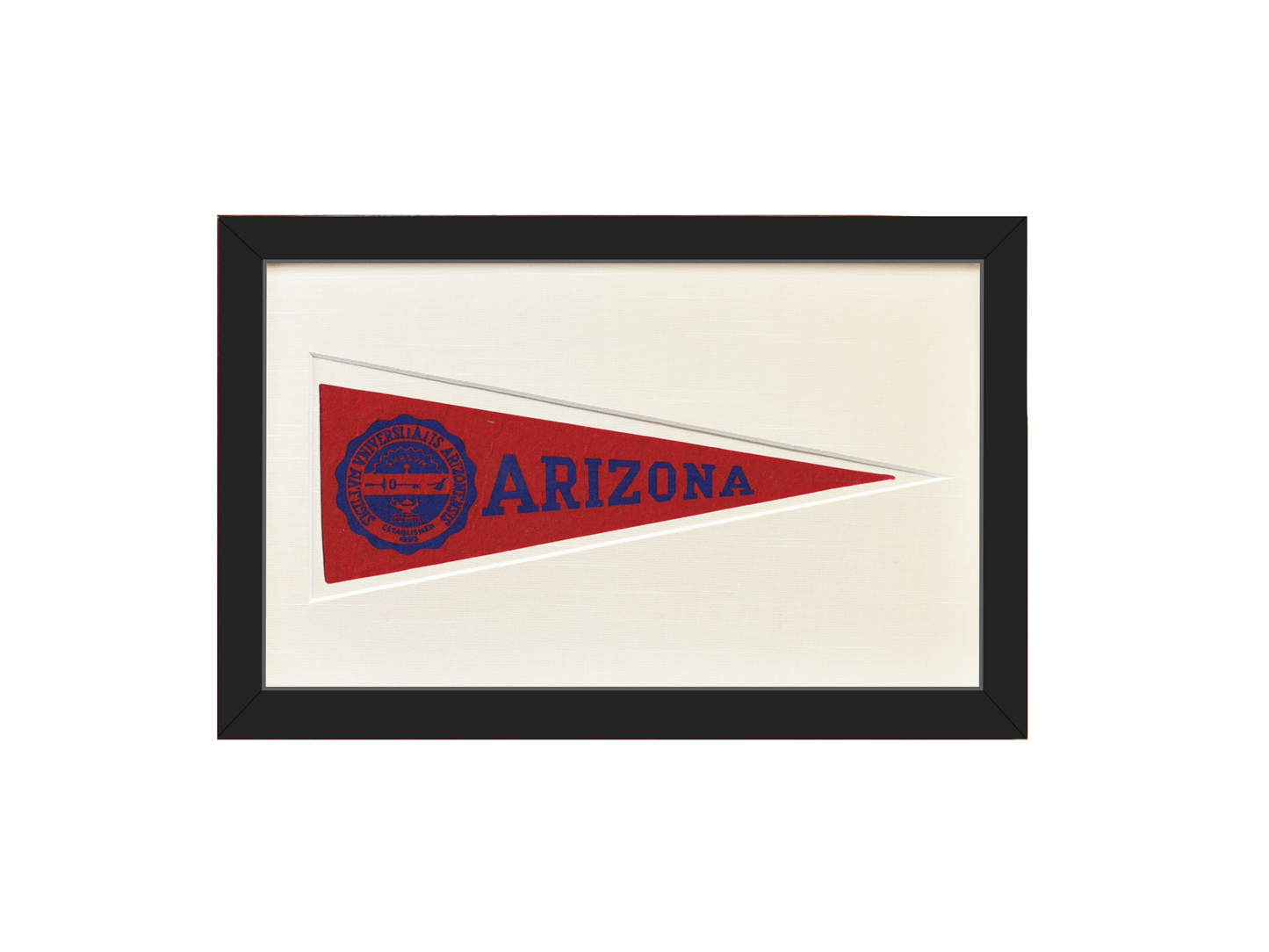Vintage Arizona Hormel Pennant