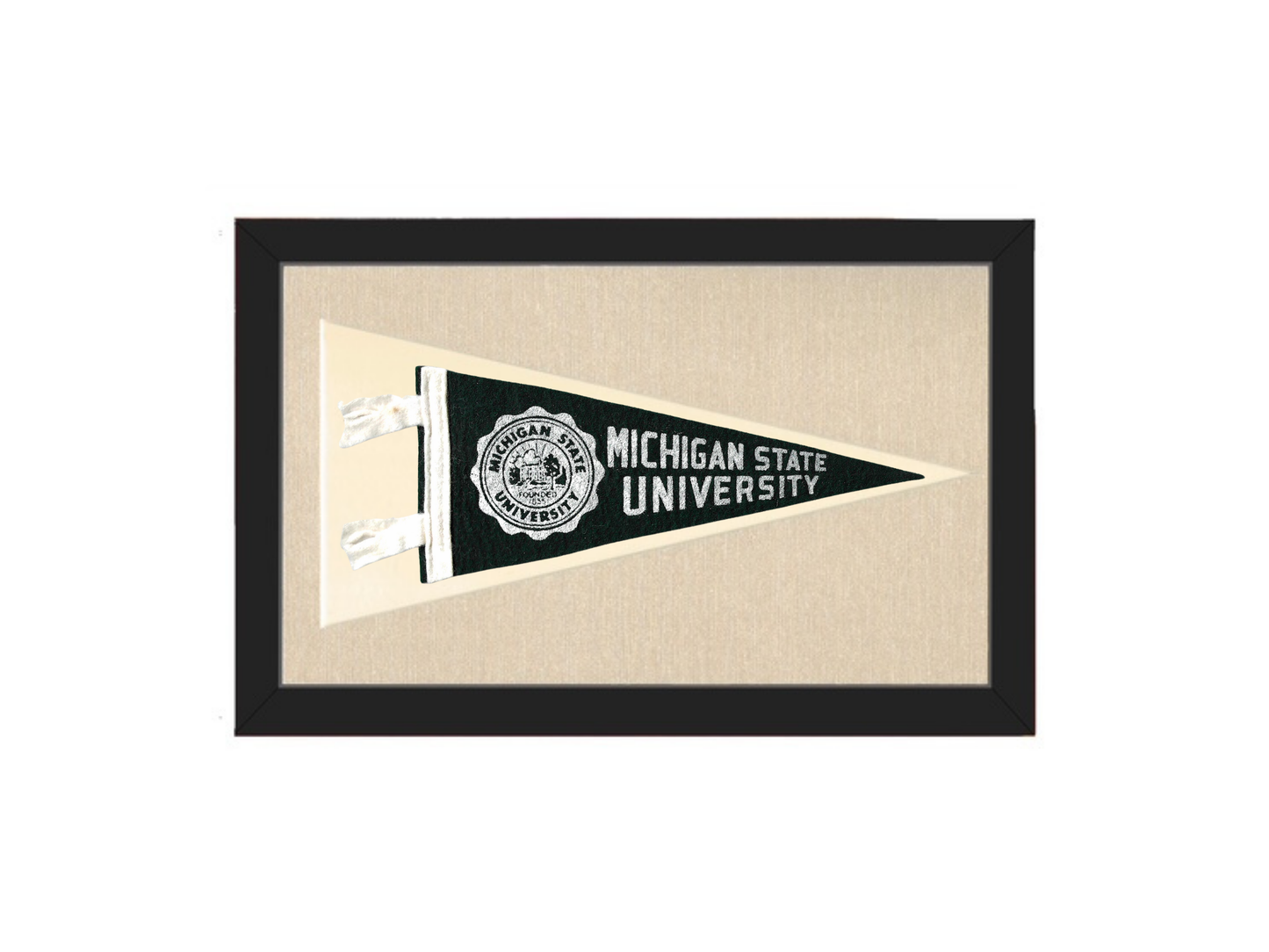 Vintage Michigan State Pennant