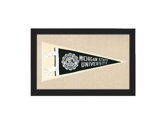 Vintage Michigan State Pennant