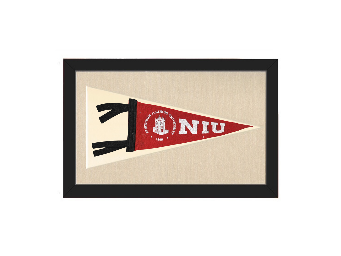 Vintage NIU Pennant