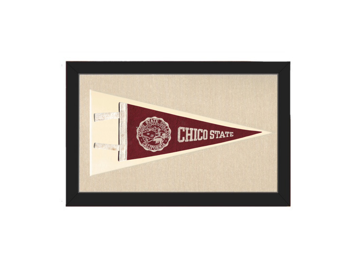 Vintage Chico State Pennant