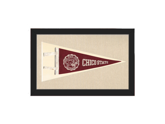 Vintage Chico State Pennant