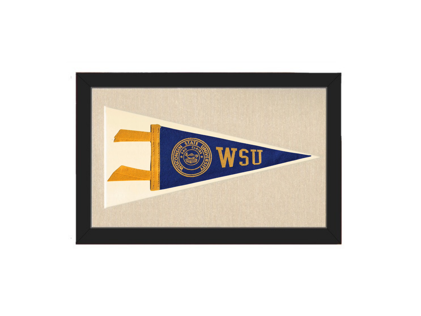 Vintage Wisconsin State University Pennant