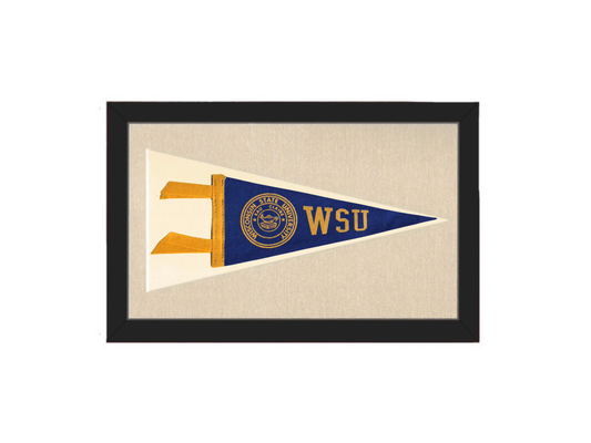 Vintage Wisconsin State University Pennant