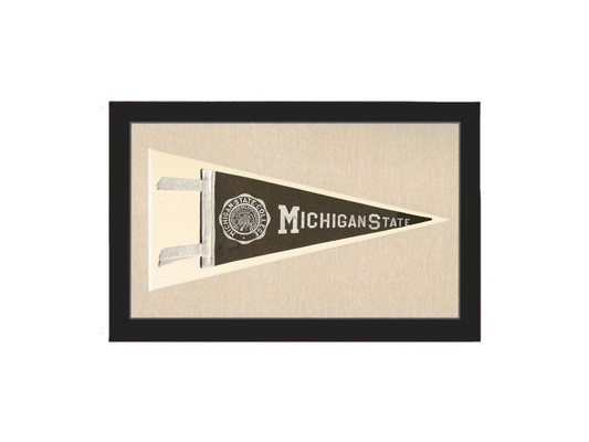 Vintage Michigan State Pennant