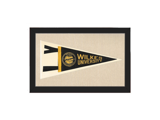 Vintage Wilkes University Pennant
