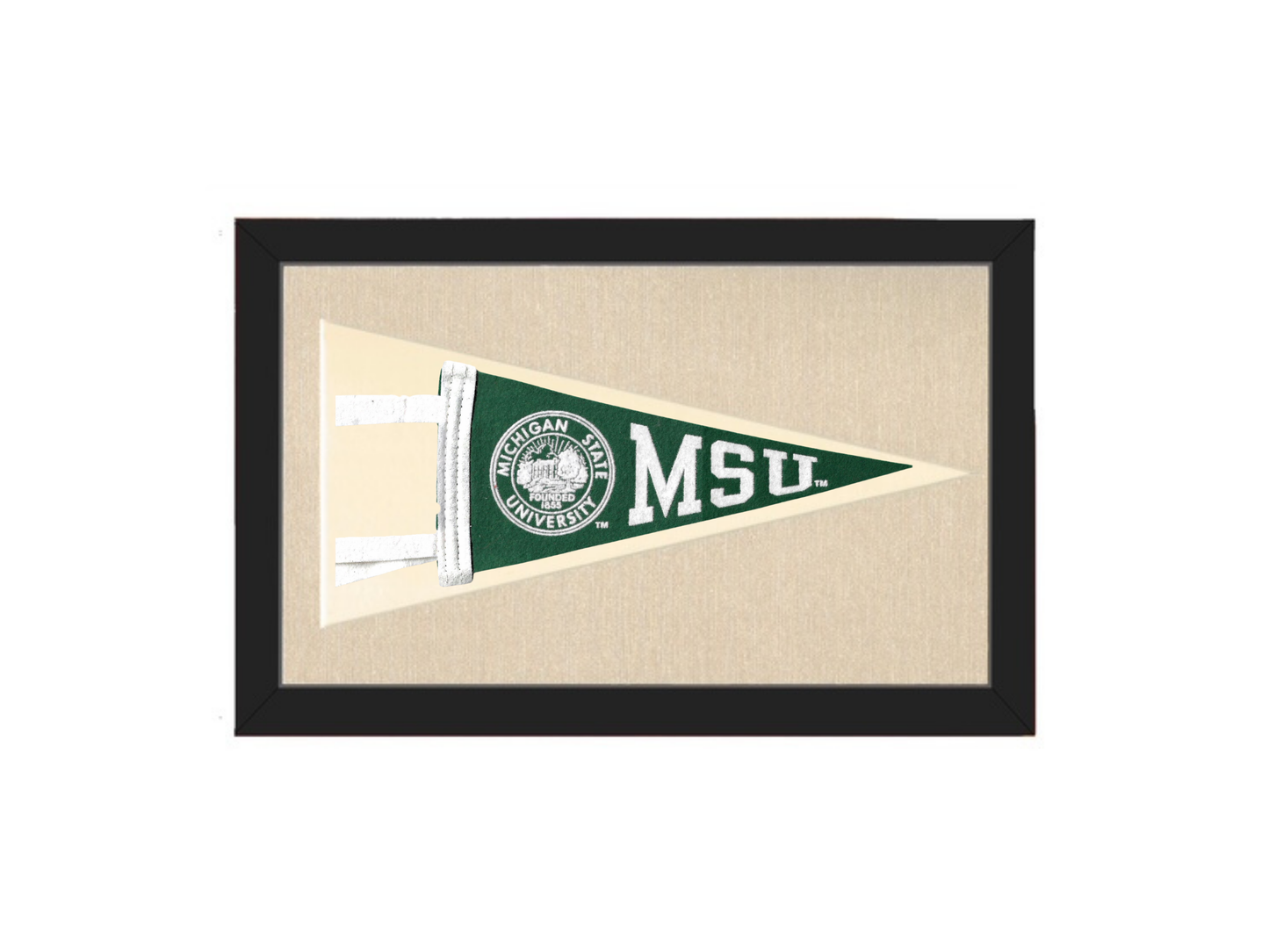 Vintage Michigan State Pennant