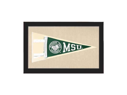 Vintage Michigan State Pennant