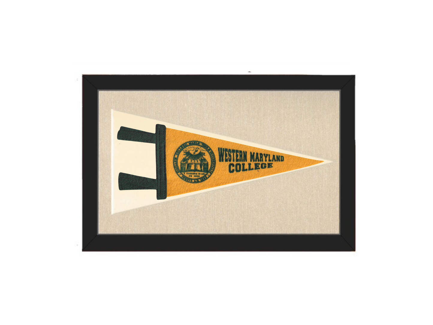 Western Maryland College