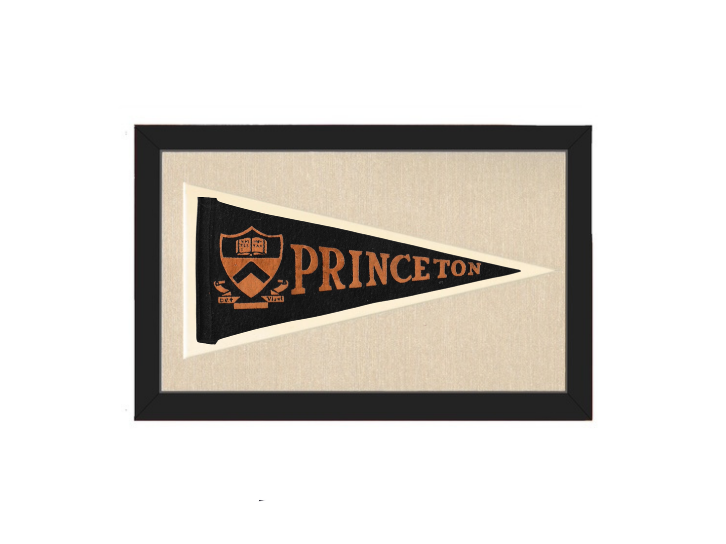 Vintage Princeton Pennant