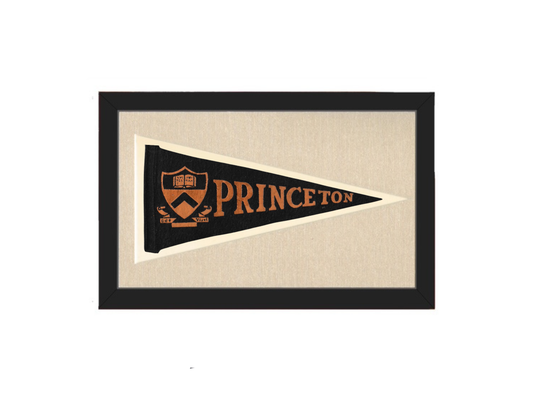 Vintage Princeton Pennant