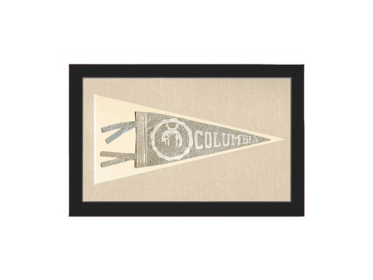 Vintage Columbia University Pennant