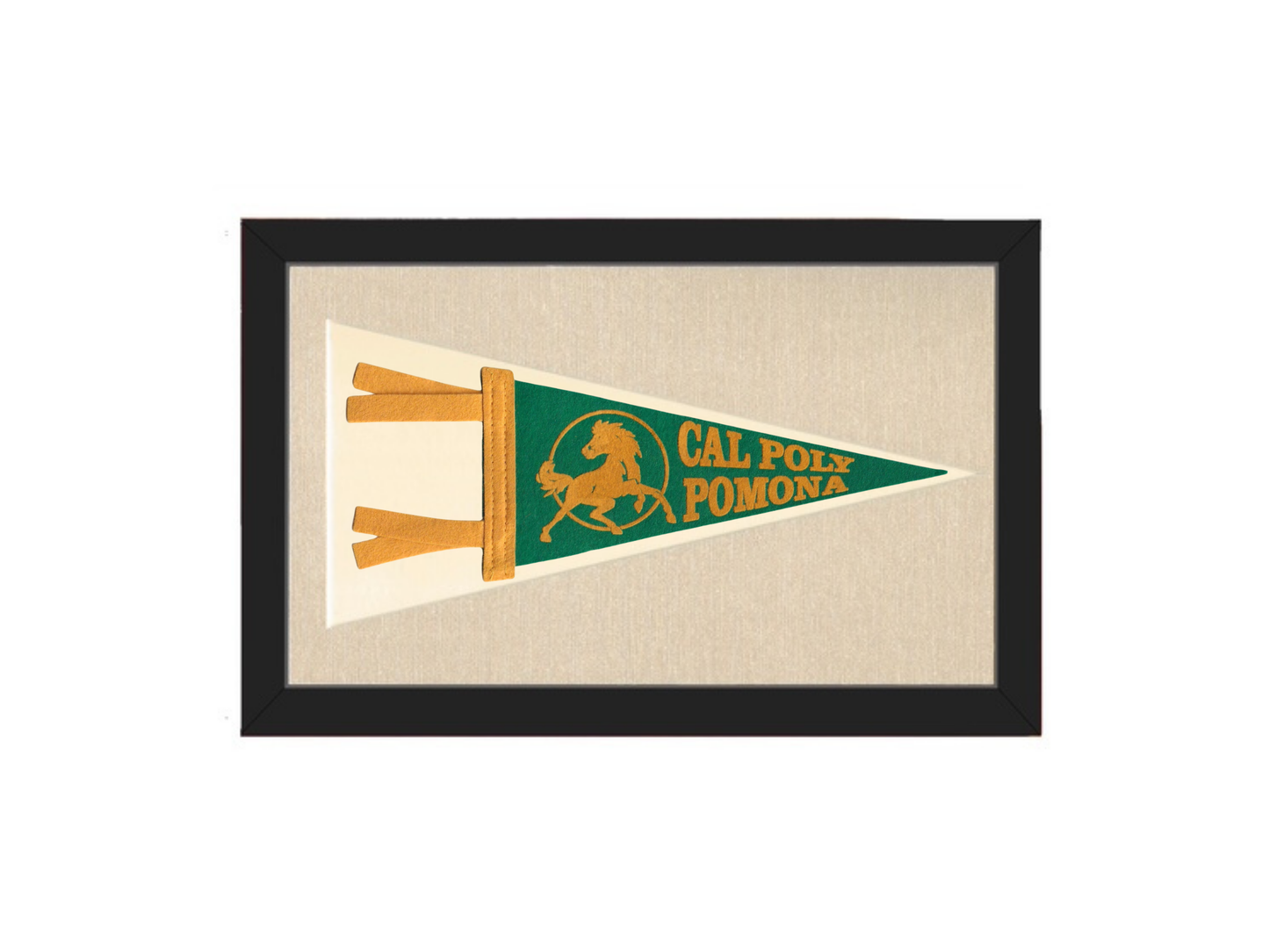 Vintage Cal Poly Slo Pennant