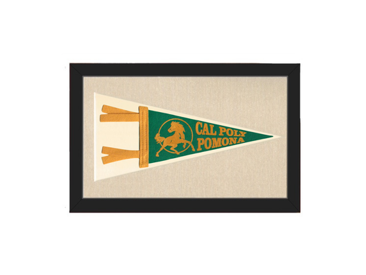 Vintage Cal Poly Slo Pennant