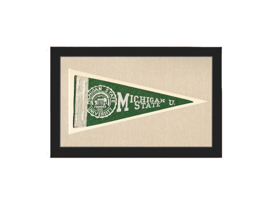 Vintage Michigan State Pennant