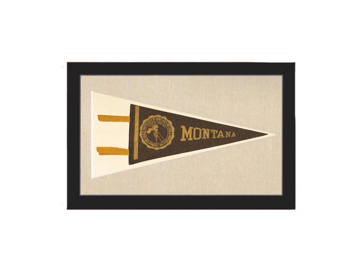 Vintage Montana Pennant