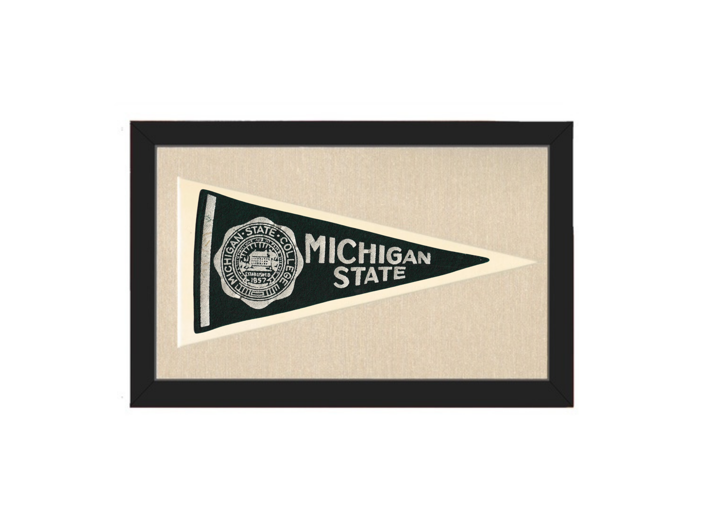 Vintage Michigan State Pennant
