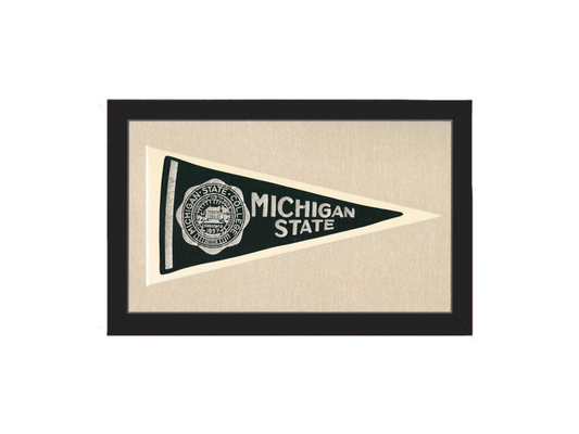 Vintage Michigan State Pennant
