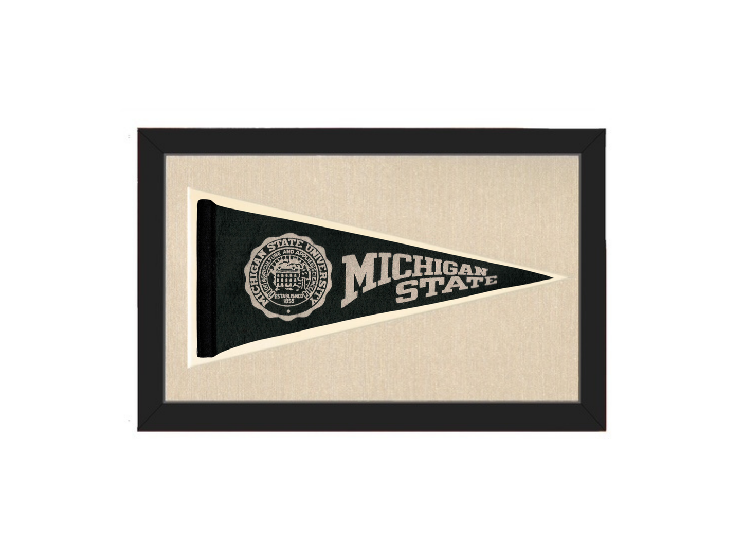 Vintage Michigan State Pennant